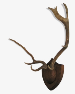 Deer Antlers"  Src="https - Reindeer, HD Png Download, Free Download